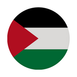 Palestine Flag Phone grip